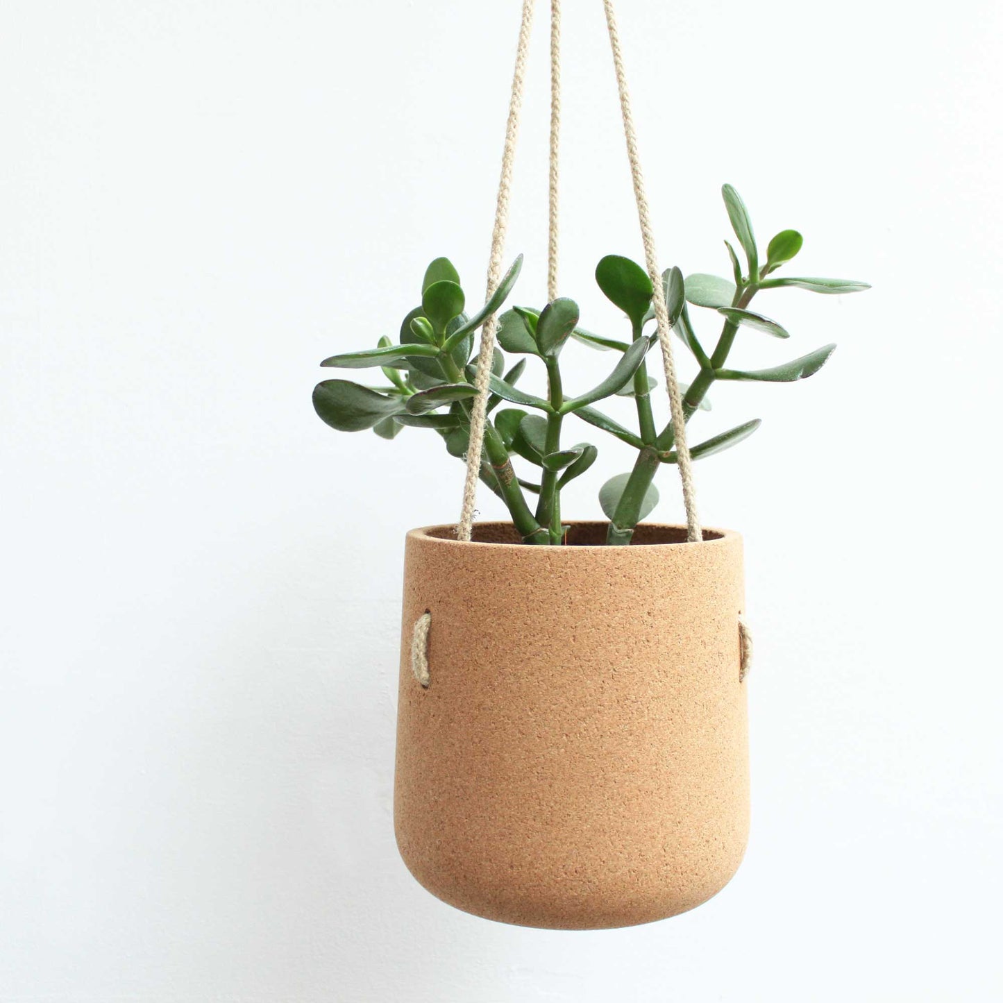 Atlas Cork Hanging Planter