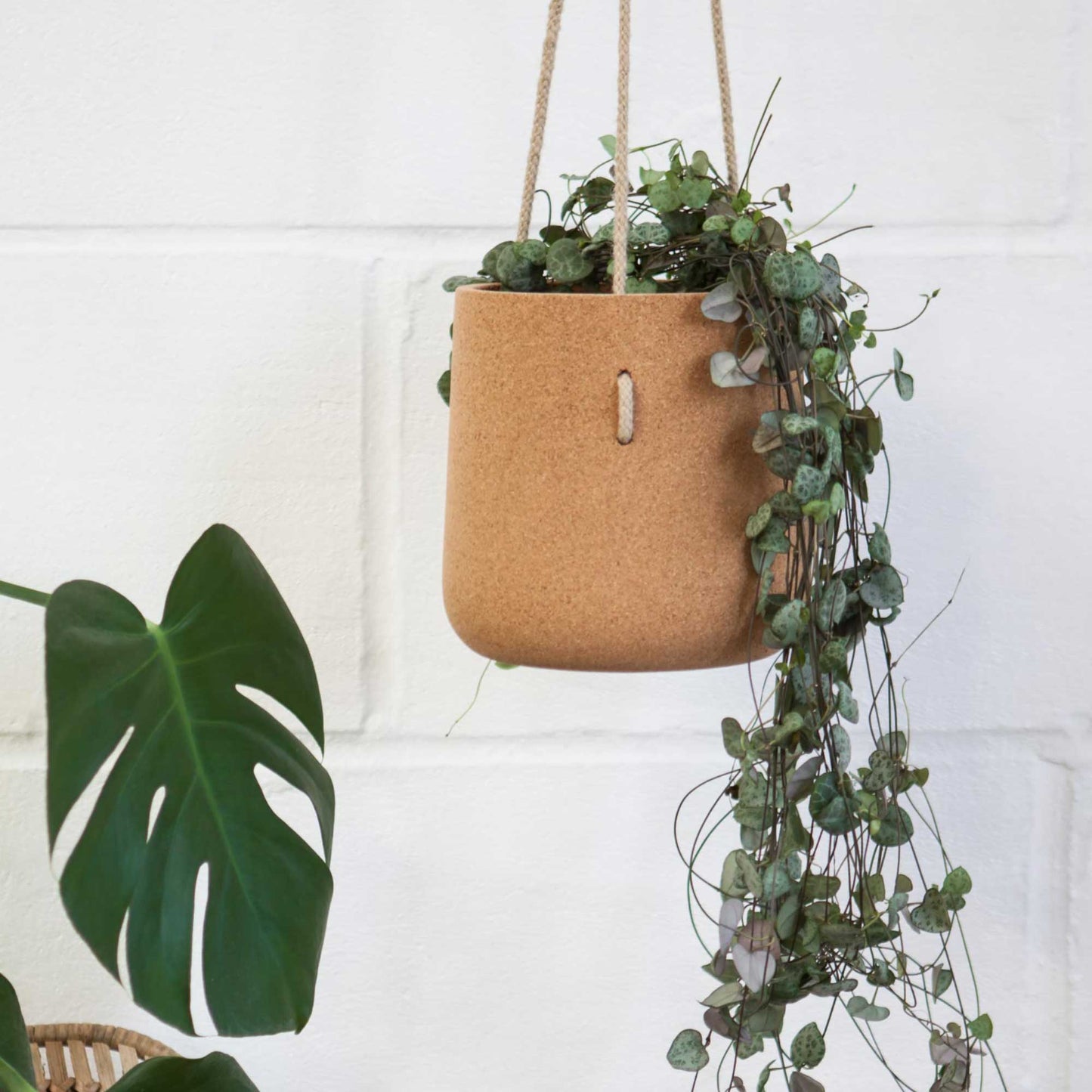 Atlas Cork Hanging Planter