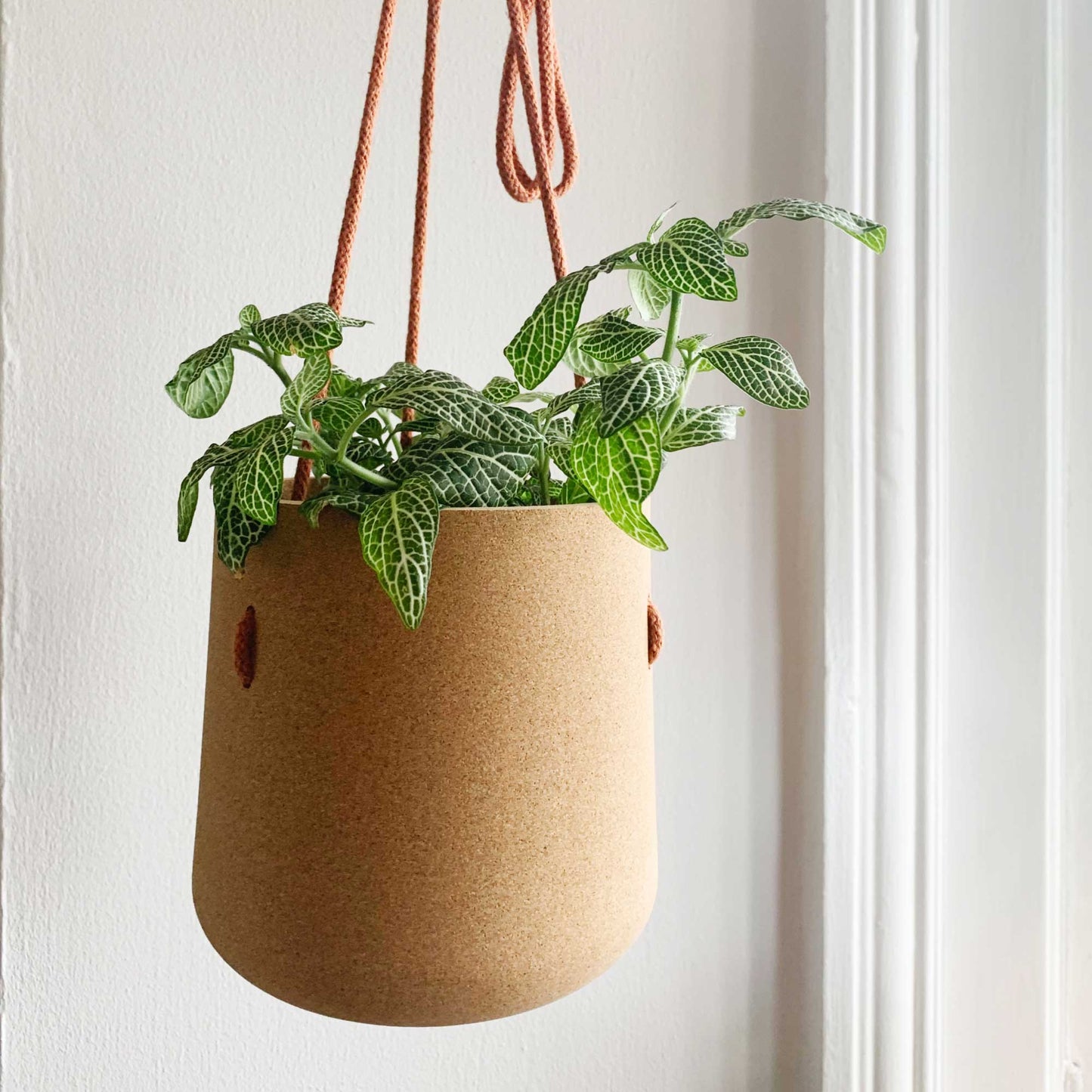 Atlas Cork Hanging Planter