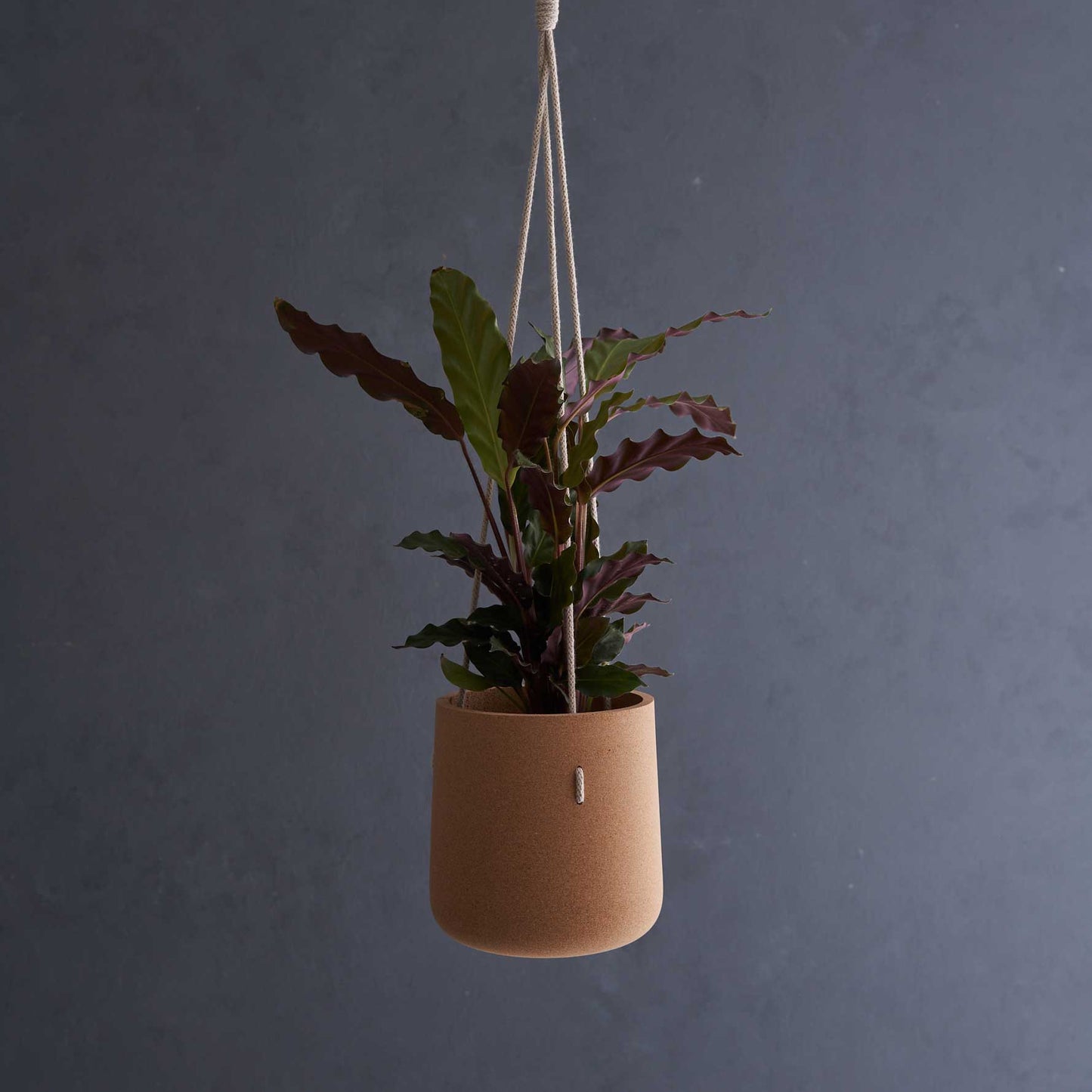 Atlas Cork Hanging Planter