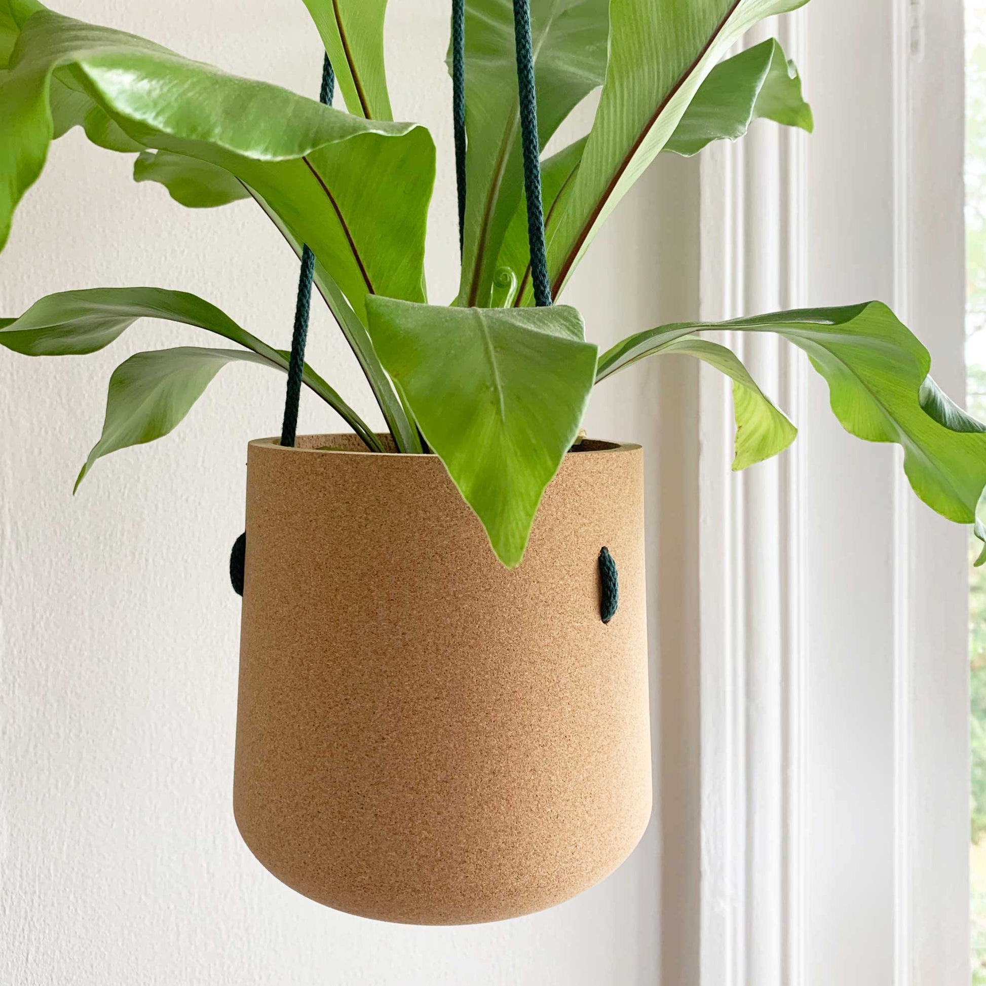 cork hanging planter Atlas Cork Hanging Planter – mindthecork