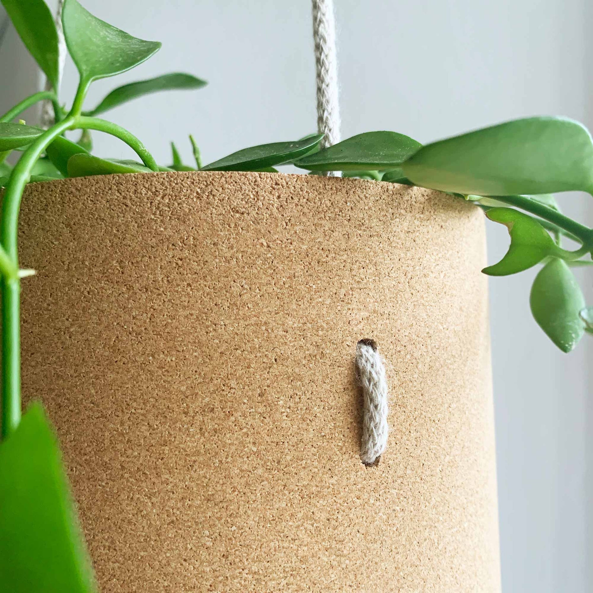 cork hanging planter Atlas Cork Hanging Planter – mindthecork