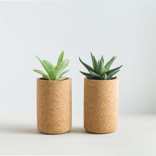 Abeeku Cork Planter