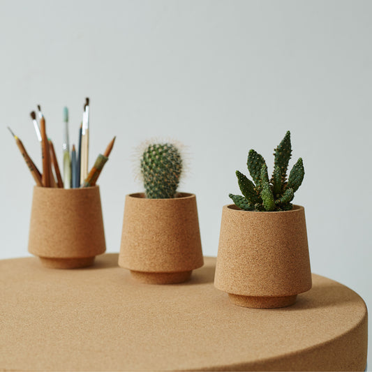 Atlas Cork Planter / Desk Tidy